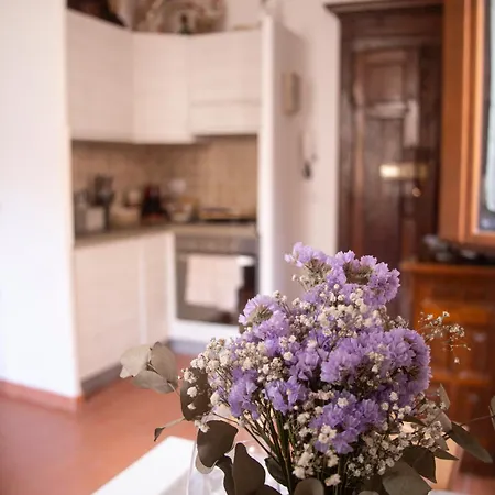 Minerva's House Appartement *