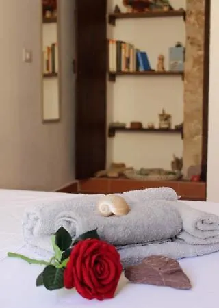 Minerva's House アルゲーロ