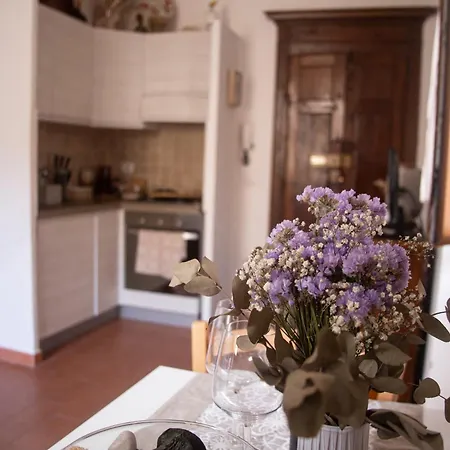 Minerva's House