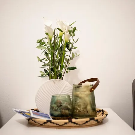 Minerva's House アパート アルゲーロ