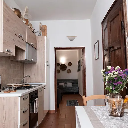 Minerva's House * Alguer