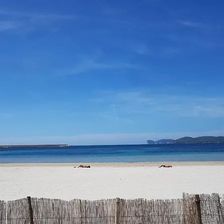 Minerva's House * アルゲーロ